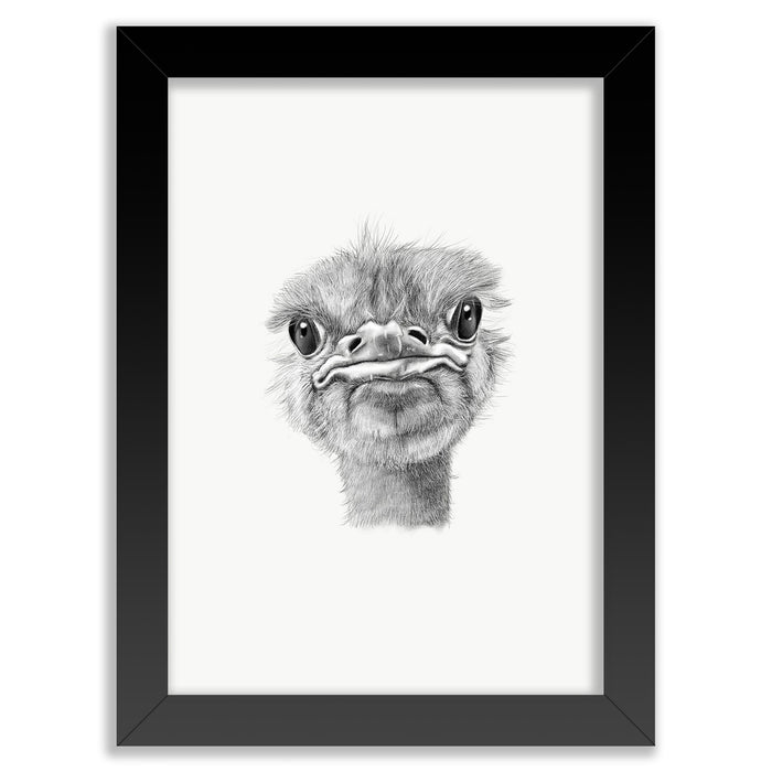 Ostrich Wall Art Print