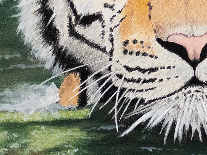 Bengal Tiger in Water | Limited Edition Fine Art Print | Pastel Pencil Drawing | Tiger Wall Art Print