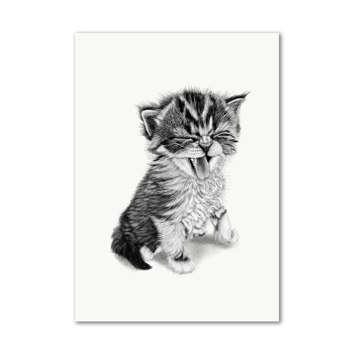 Baby Kitten Wall Art Print