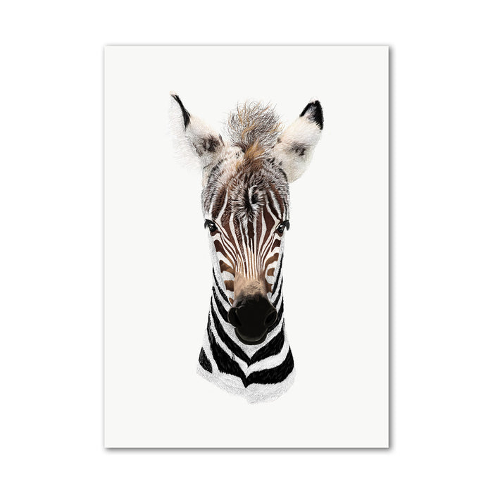 Baby Zebra Wall Art Print