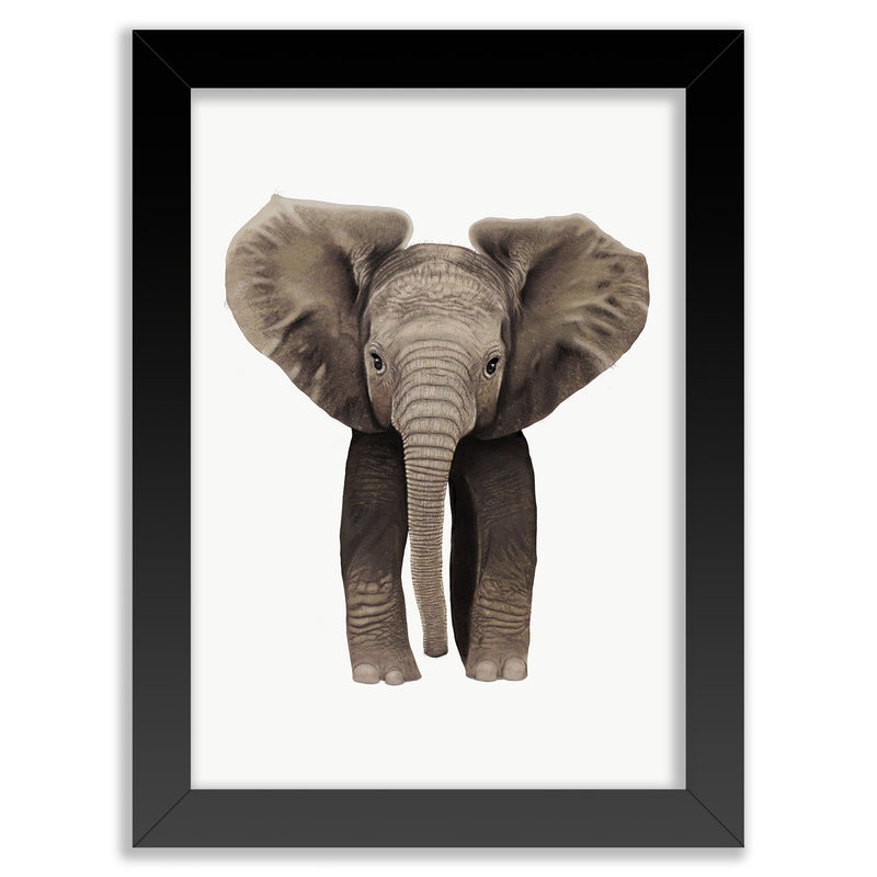 Baby African Elephant Wall Art Print