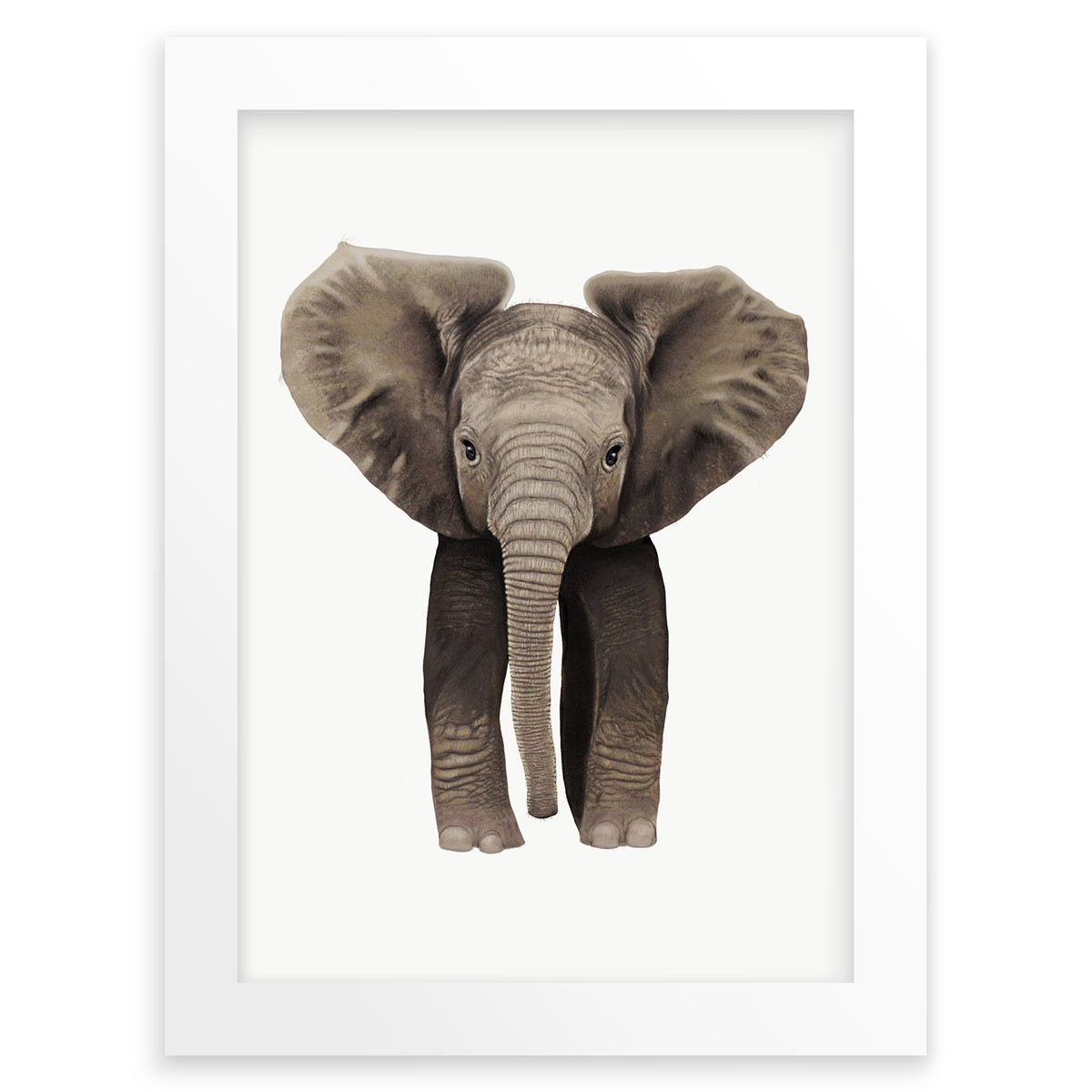 Baby African Elephant Wall Art Print