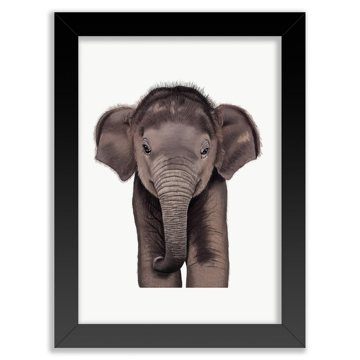 Baby Asian Elephant Wall Art Print