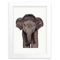 Baby Asian Elephant Wall Art Print