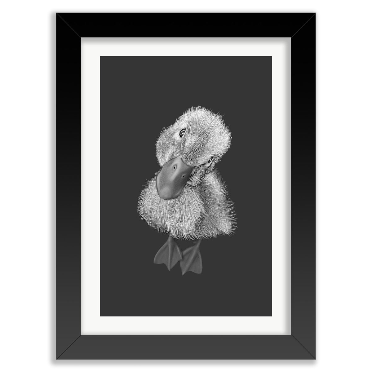 Baby Duckling Wall Art Print