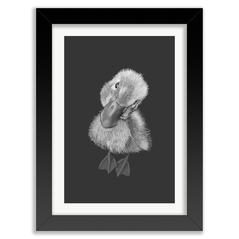 Baby Duckling Wall Art Print