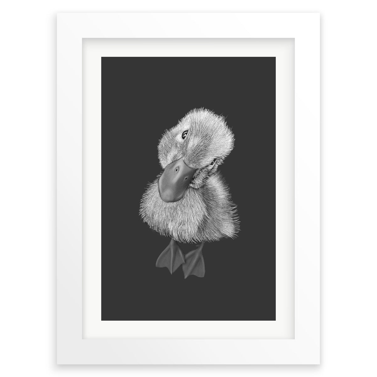 Baby Duckling Wall Art Print