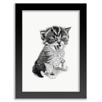 Baby Kitten Wall Art Print