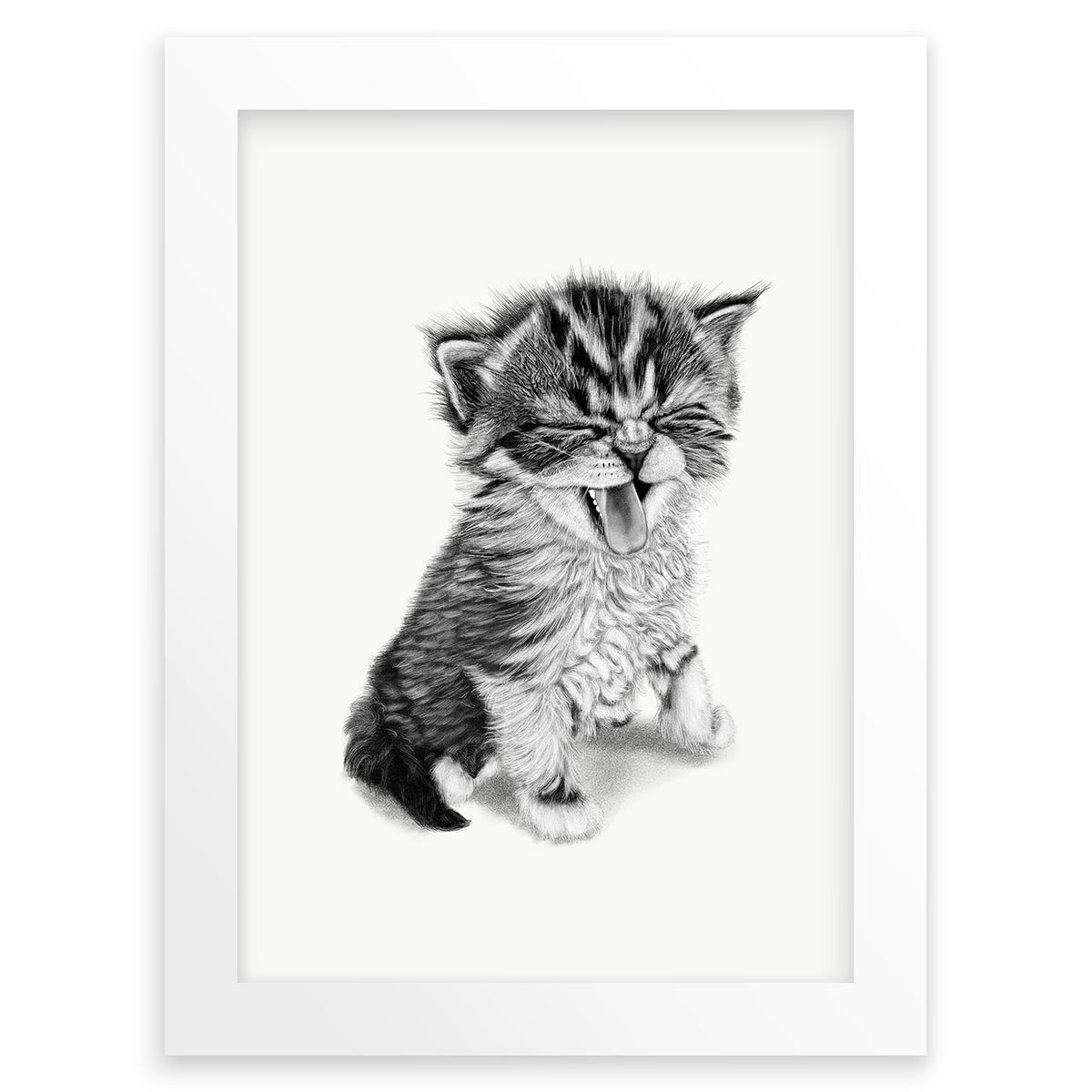 Baby Kitten Wall Art Print