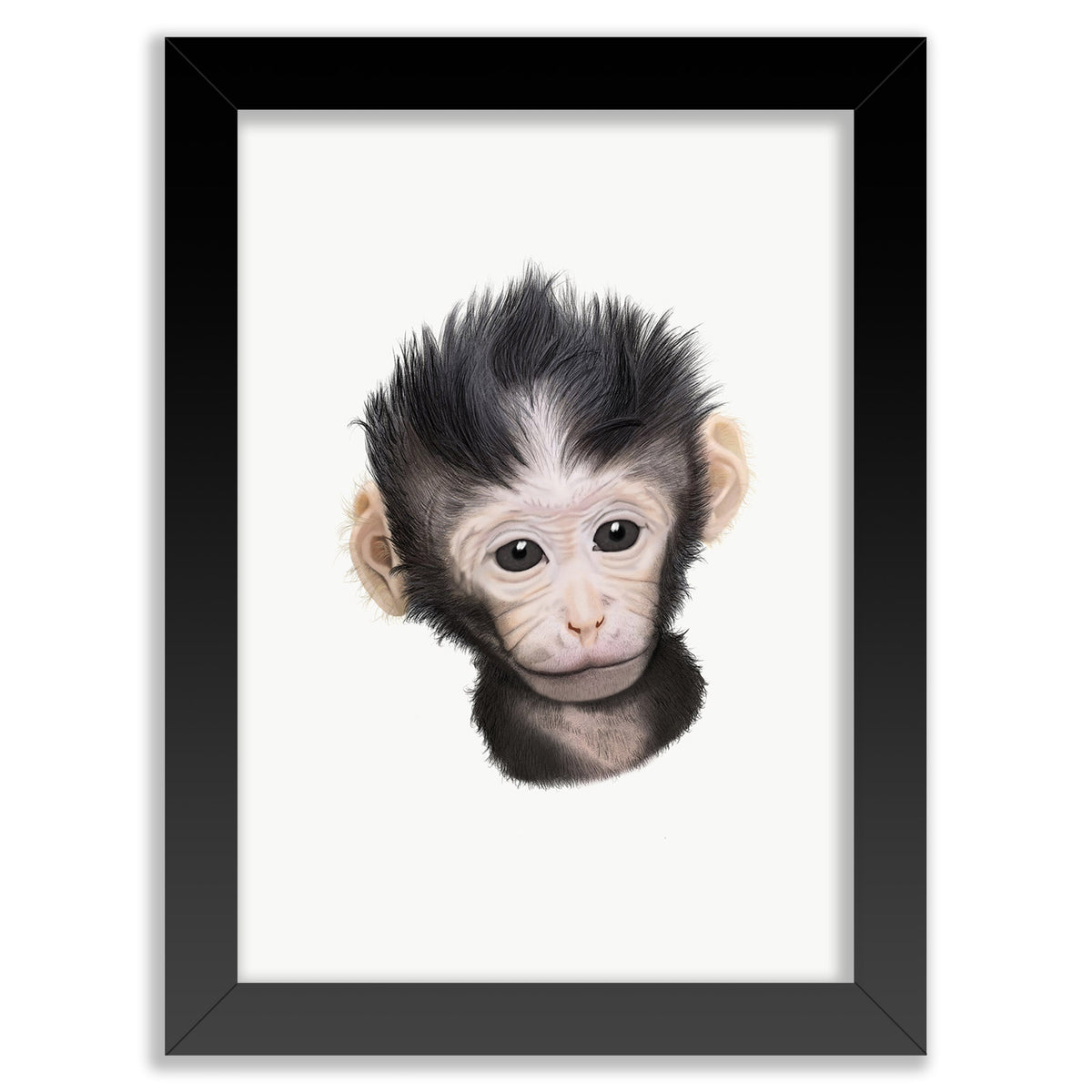 Baby Macaque Monkey Wall Art Print