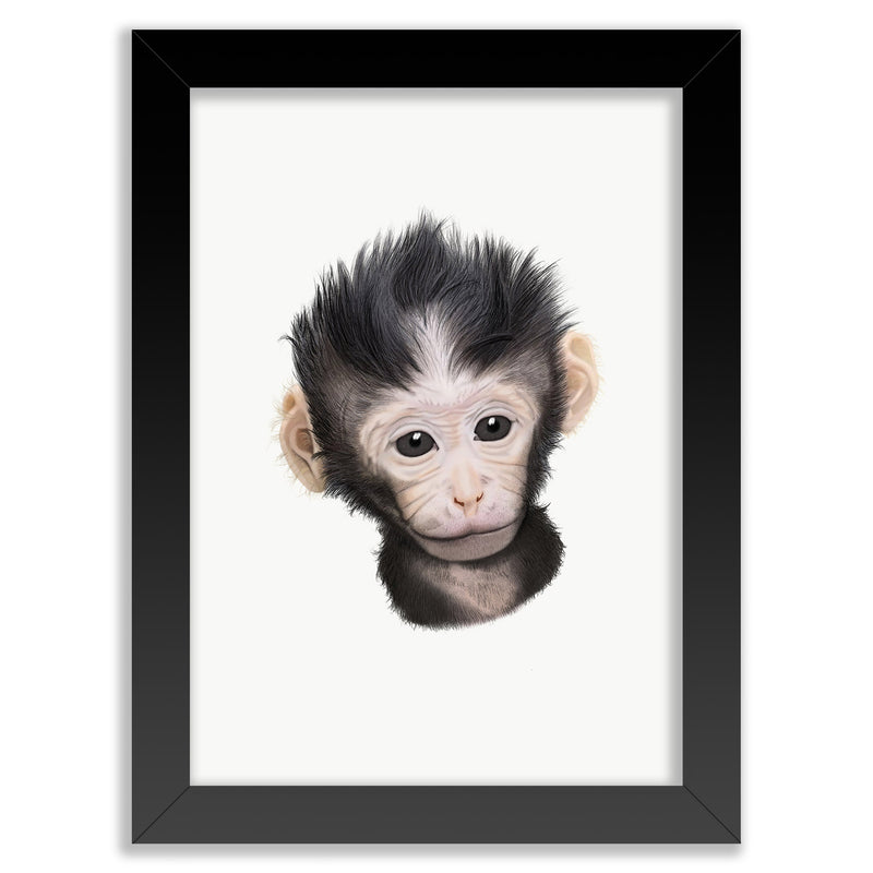 Baby Macaque Monkey Wall Art Print