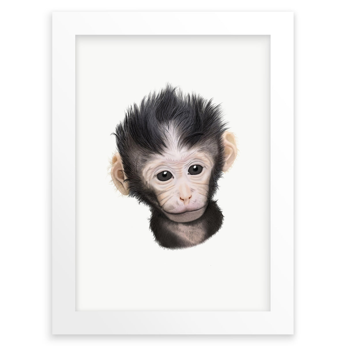 Baby Macaque Monkey Wall Art Print