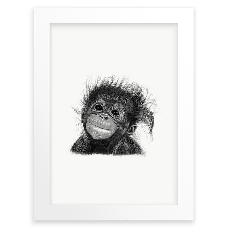 Baby Orangutang Monkey Wall Art Print