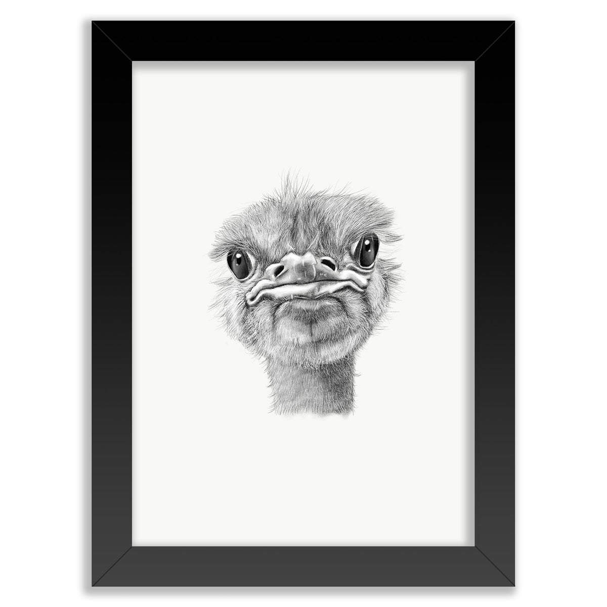 Ostrich Wall Art Print