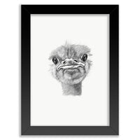 Ostrich Wall Art Print