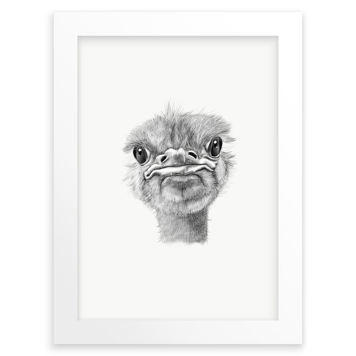 Ostrich Wall Art Print