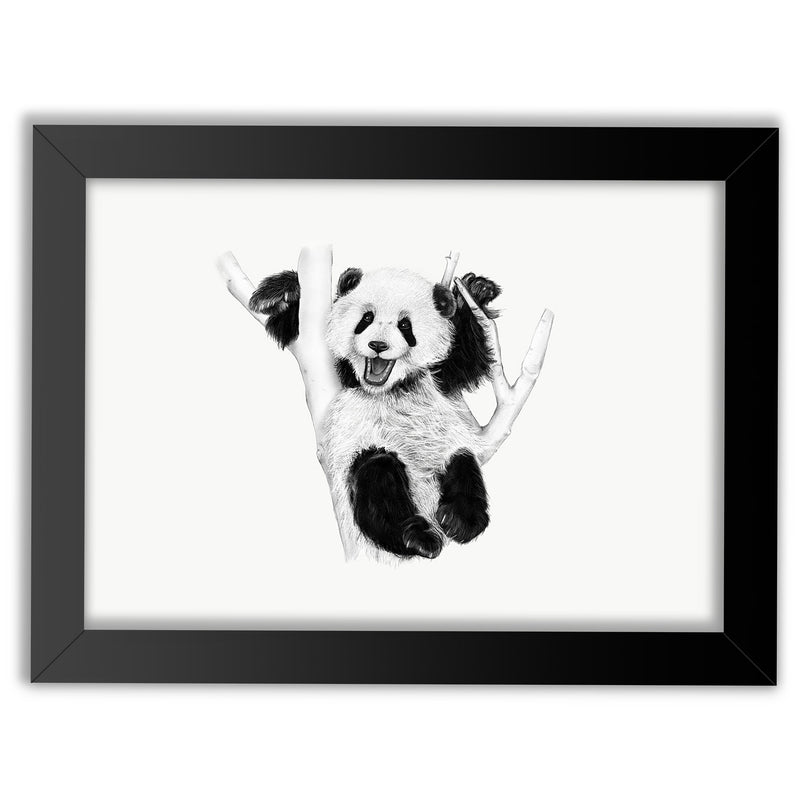 Baby Panda Cub Wall Art Print