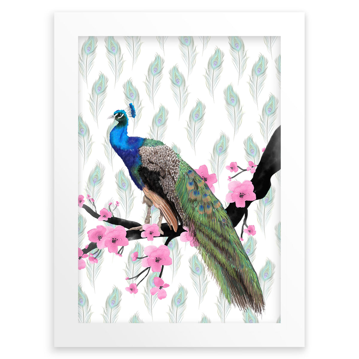 Indian Peacock Wall Art Print