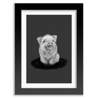 Baby Piglet Wall Art Print