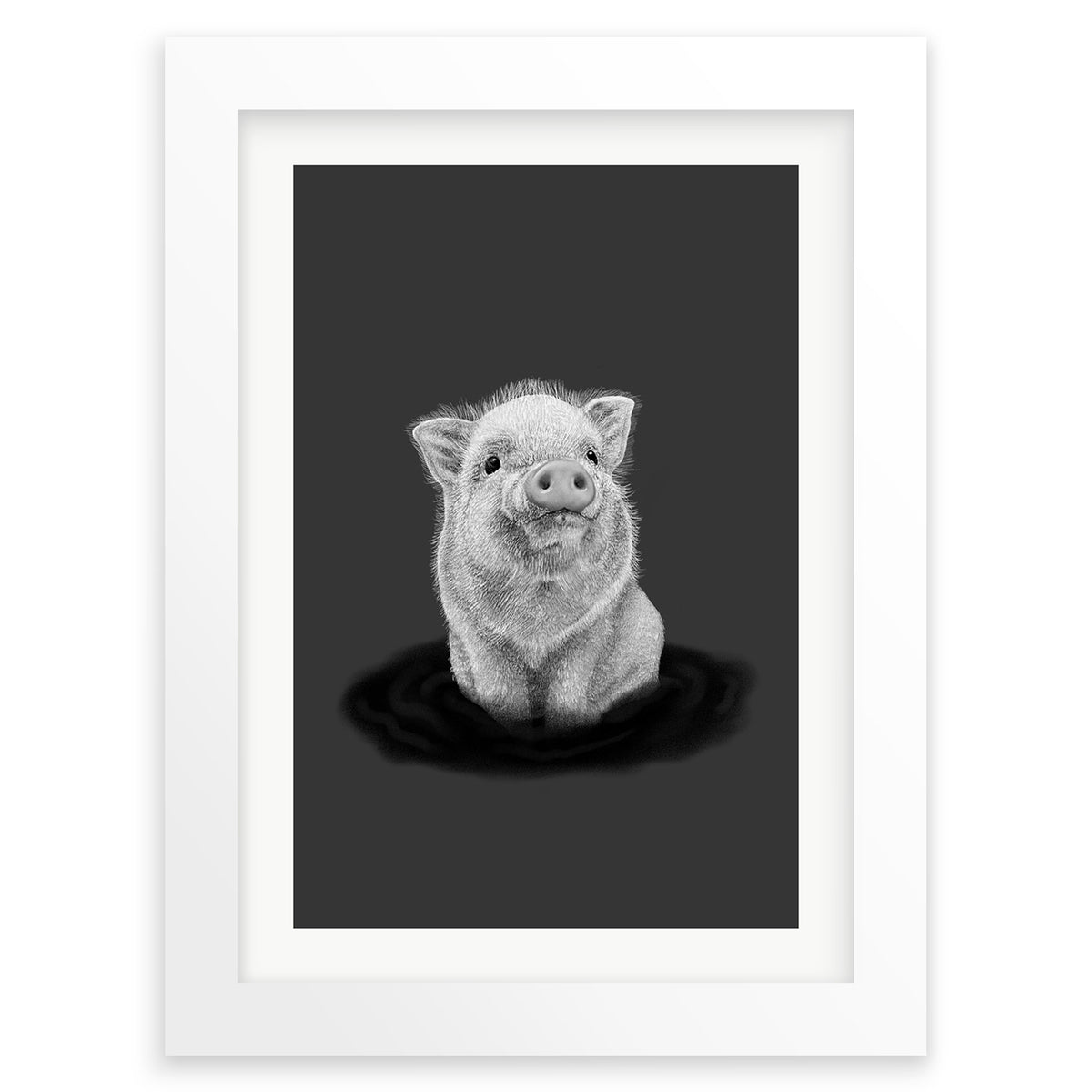 Baby Piglet Wall Art Print