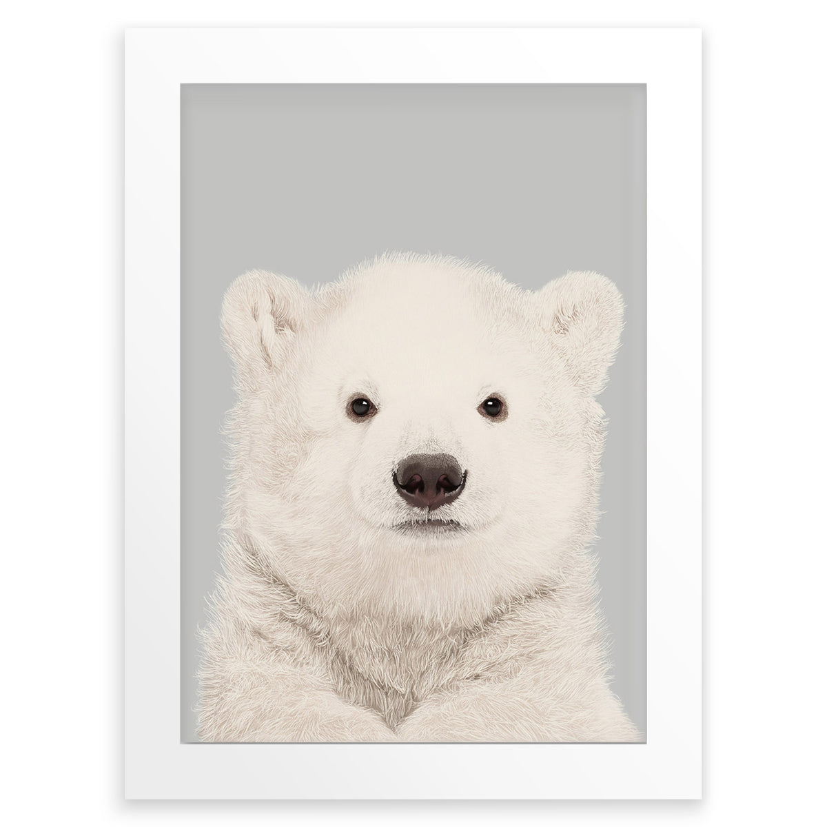 Baby Polar Bear Cub Wall Art Print