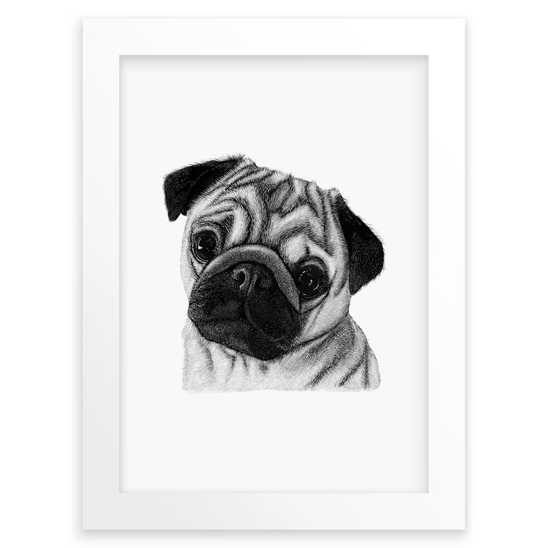 Baby Pug Puppy Dog Wall Art Print