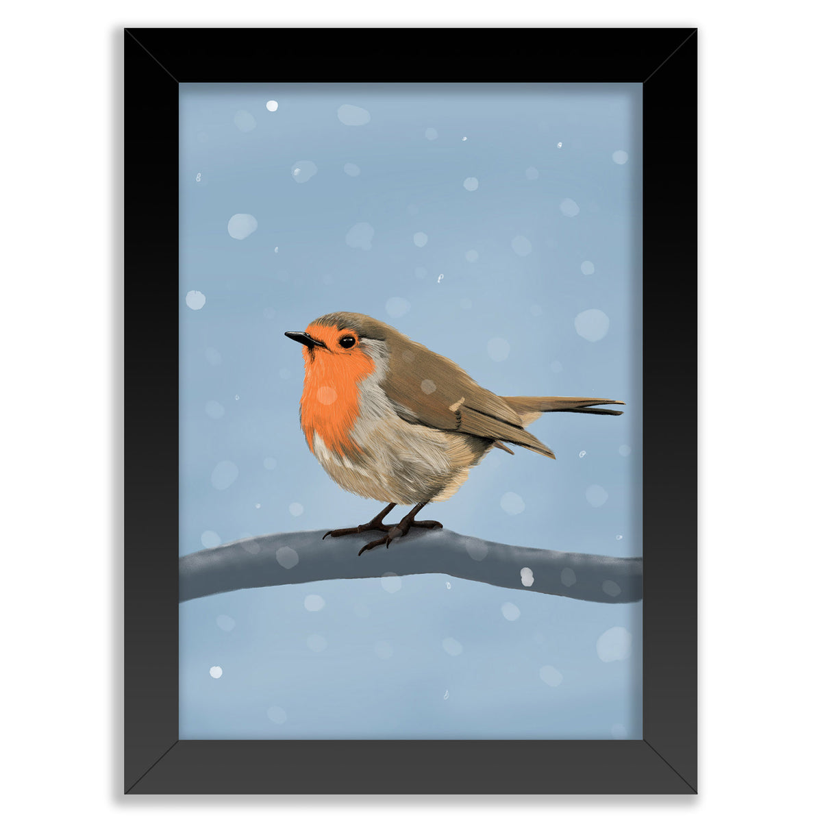 Robin Wall Art Print