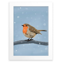 Robin Wall Art Print