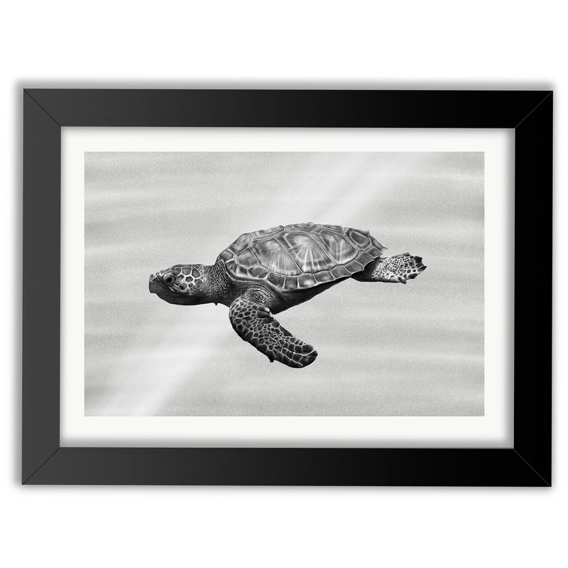 Sea Turtle in Water Wall Art Print