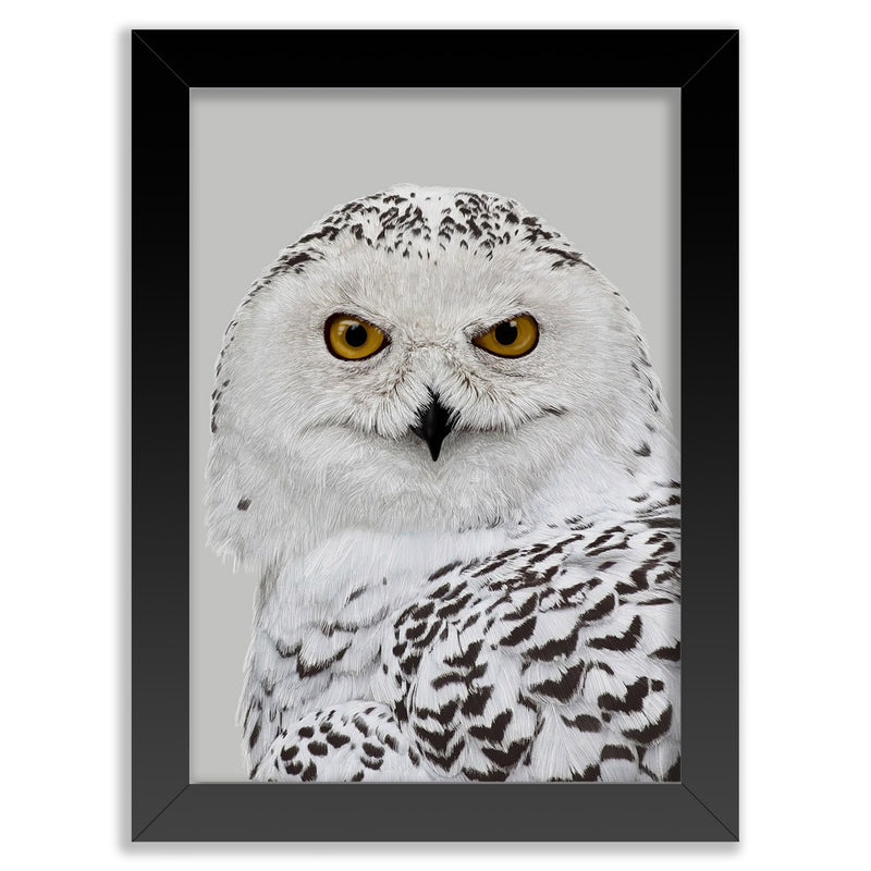 Snowy Owl Wall Art Print