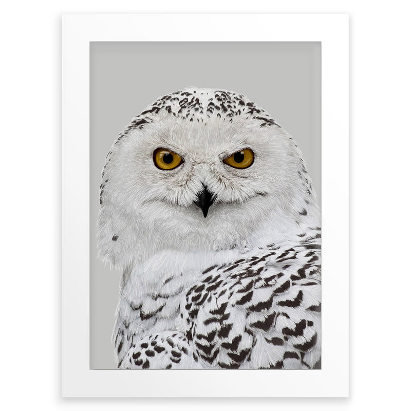 Snowy Owl Wall Art Print