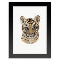 Baby Tiger Cub Wall Art Print