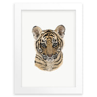 Baby Tiger Cub Wall Art Print