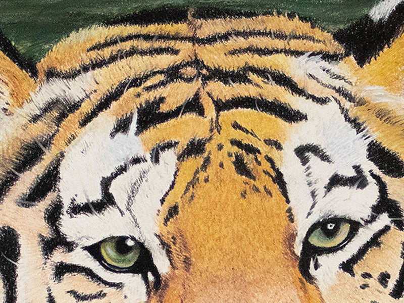 Bengal Tiger in Water | Limited Edition Fine Art Print | Pastel Pencil Drawing | Tiger Wall Art Print