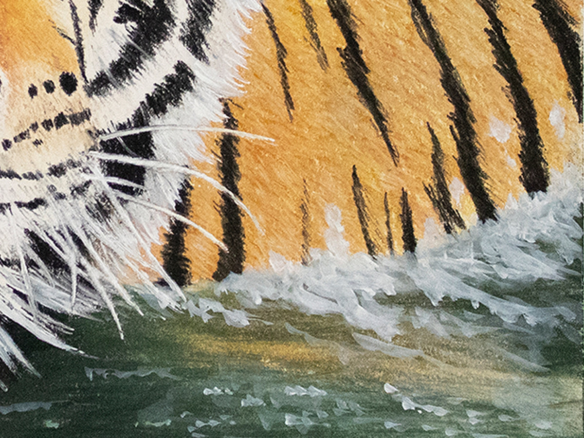 Bengal Tiger in Water | Limited Edition Fine Art Print | Pastel Pencil Drawing | Tiger Wall Art Print