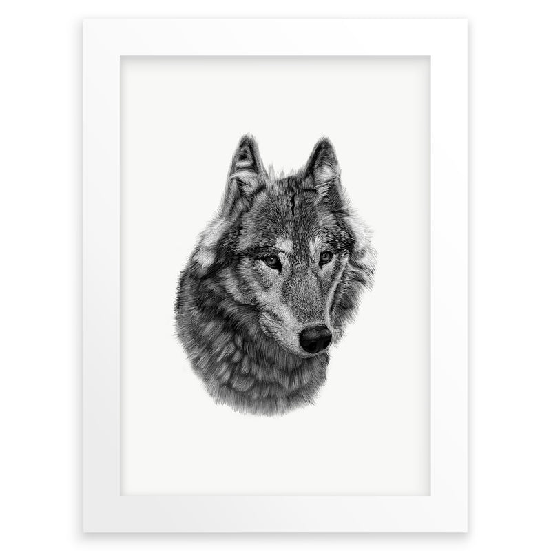 Wolf on White Wall Art Print