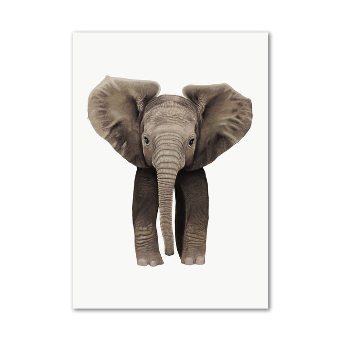 Baby African Elephant Wall Art Print