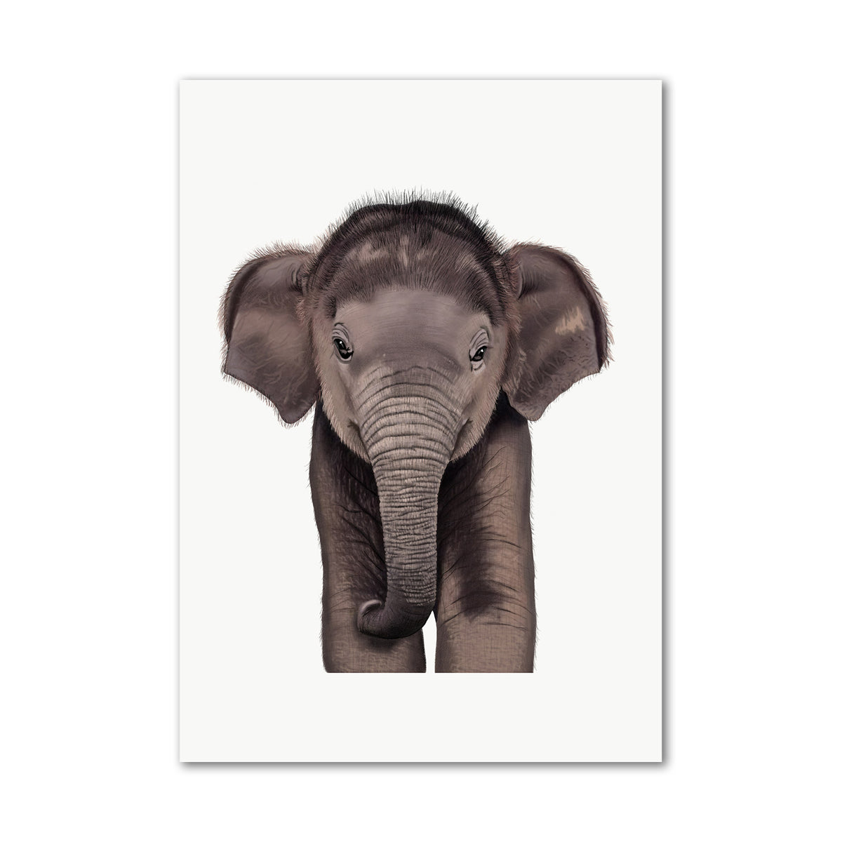 Baby Asian Elephant Wall Art Print