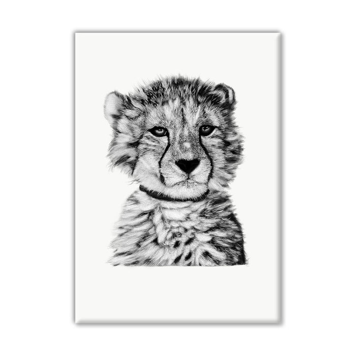 Baby Cheetah Cub on White Canvas Wall Art Print