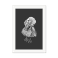 Baby Duckling Wall Art Print