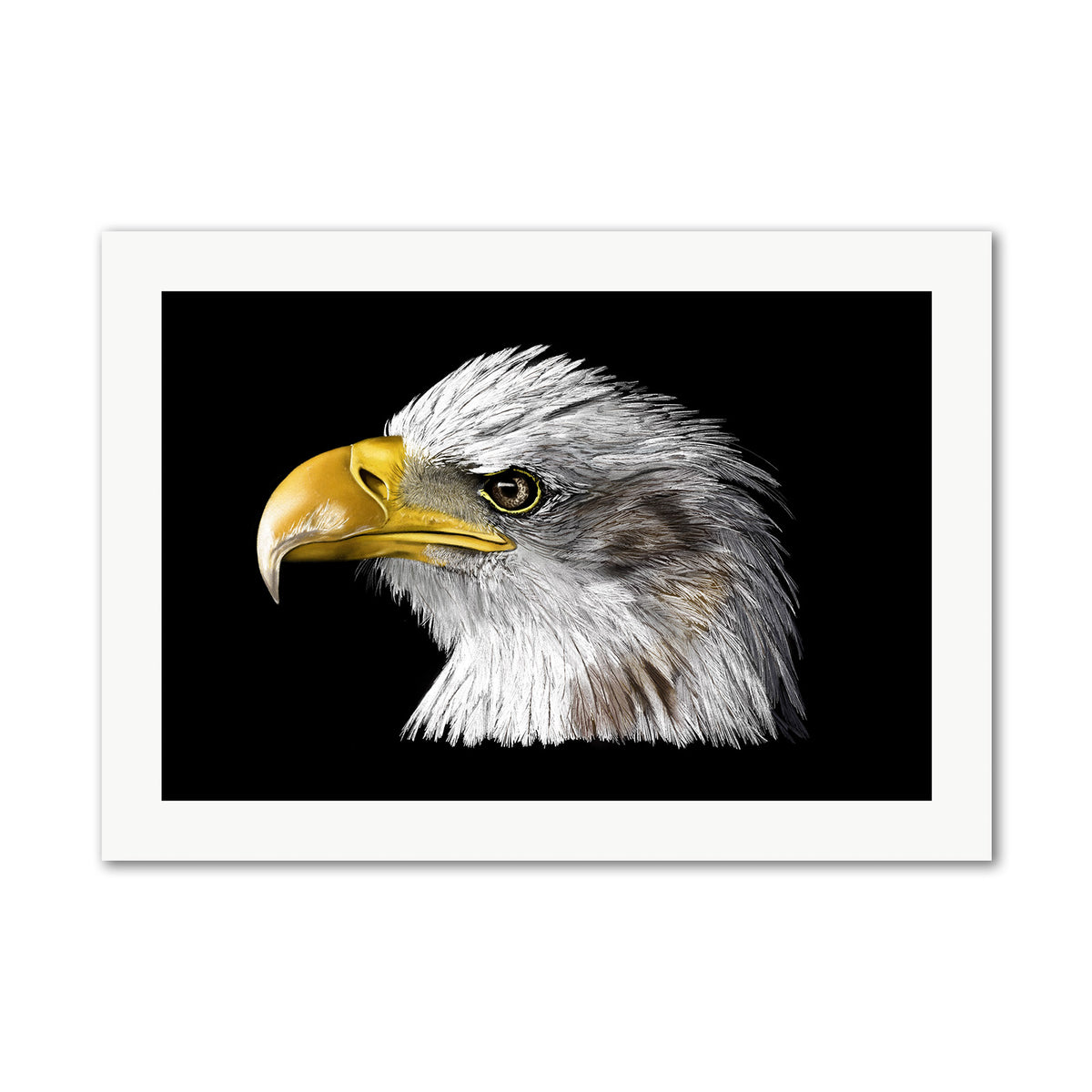 Eagle Bird of Prey Wall Art Print