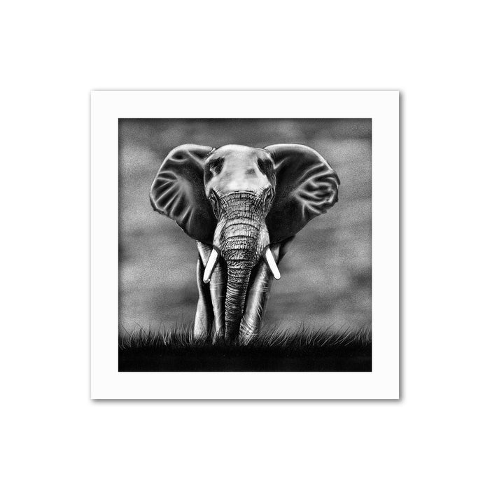 Elephant in the Dark of Night Wall Art Print