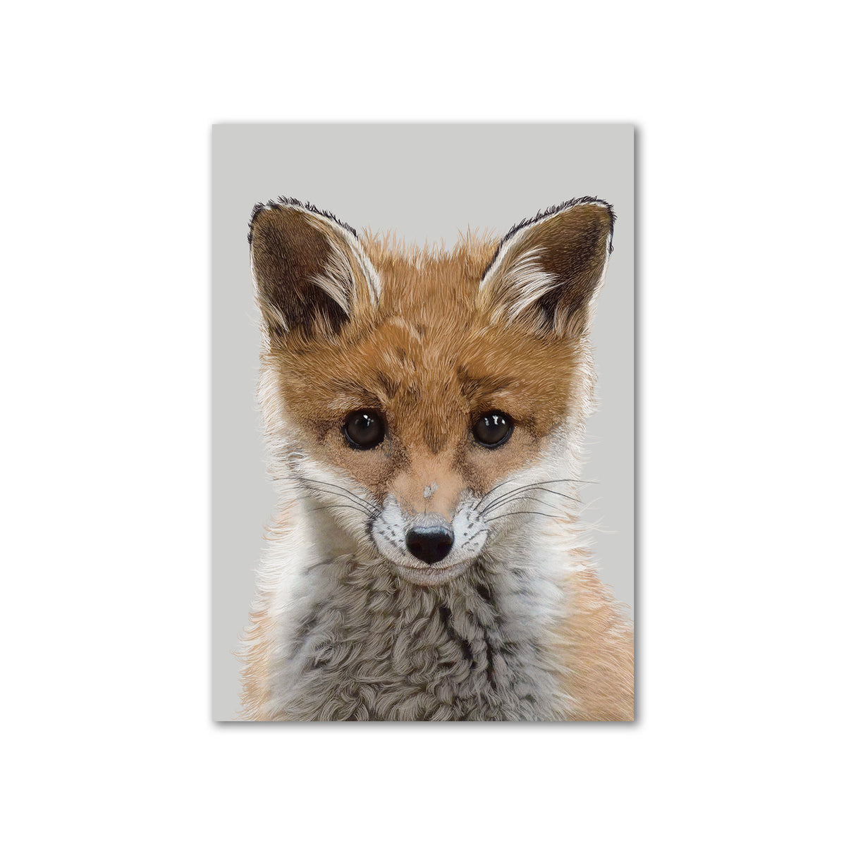 Baby Fox Cub Wall Art Print