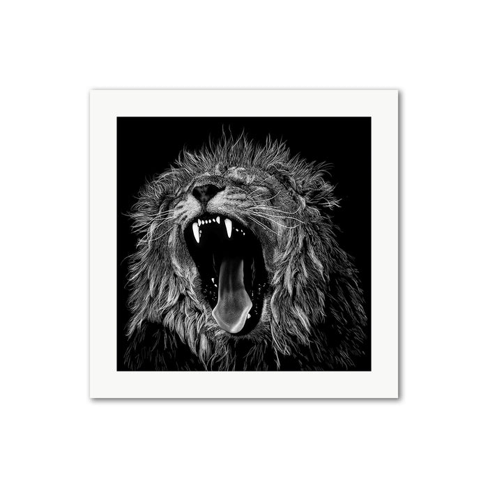 Majestic Lion Roar Wall Art Print