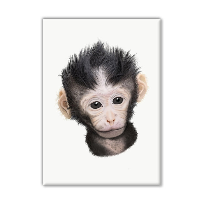 Baby Macaque Monkey Canvas Wall Art Print