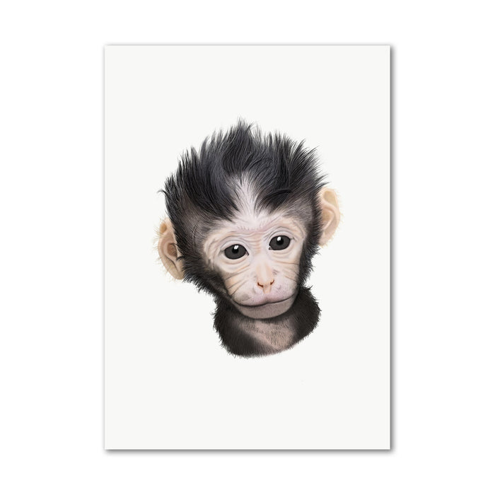 Baby Macaque Monkey Wall Art Print