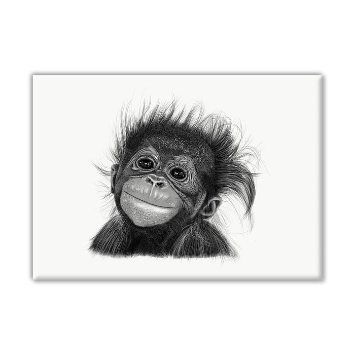 Baby Orangutang Monkey Canvas Wall Art Print
