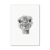 Ostrich Wall Art Print