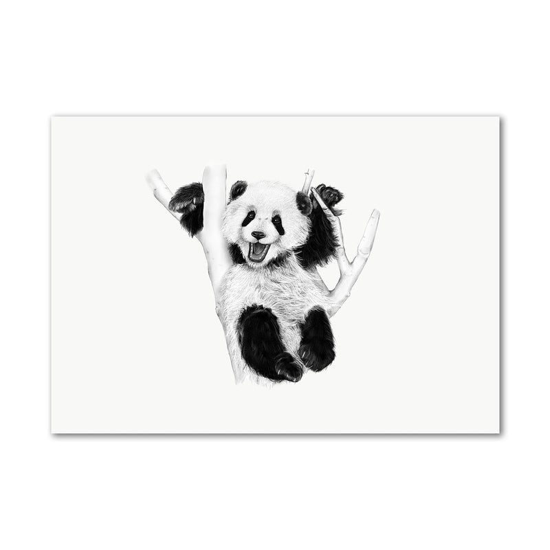 Baby Panda Cub Canvas Wall Art Print