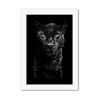 Panther Wall Art Print